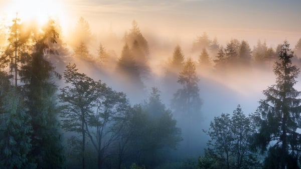 迷雾重重(16:9)