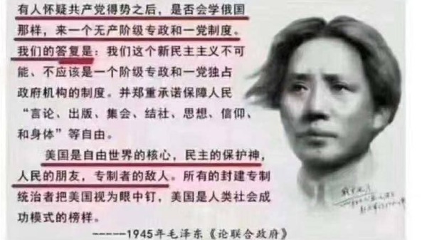 毛