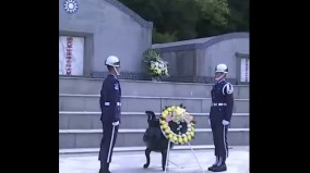 中共设10月25日为“台湾光复纪念日”民讽:不要脸(图)