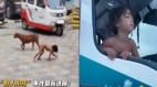 惊悚:云南“野人小孩”被爆涉“反人类”产业链(williamhill官网
)