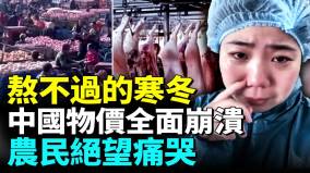 中國豬肉價格崩盤農副產品價格全線下降水果當垃圾倒種菜沒人要(視頻)