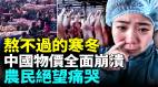 中国猪肉价格崩盘农副产品价格全线下降水果当垃圾倒种菜没人要(视频)