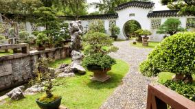 金子埋在土裡會移動自行尋找有緣人(圖)