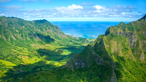 夏威夷 瓦胡島 自然 160293950