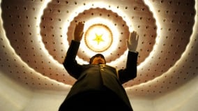 惊悚它们抢走一切你却习以为常(视频)