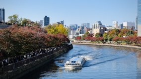 假抗日真自保中共的「假惡鬥」全面反噬(圖)