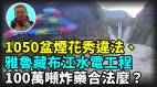 【王維洛專訪】蔡國強煙花秀違法雅魯藏布江水電工程100萬噸炸藥合法麼(視頻)