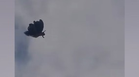 内蒙古禁飞区惊现蝴蝶状不明飞行物(组图)