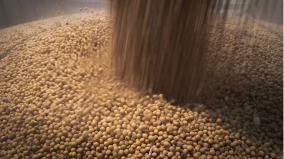 中國對美釋善意暫停稀土管制恢復大豆原木進口資質(圖)