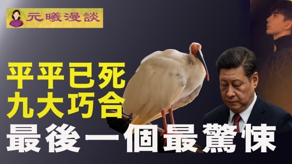 平平鳥與習近平之間有九大巧合,最後一條最驚悚。