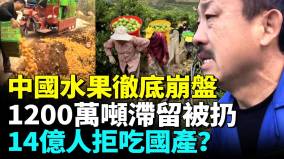 千萬噸中國水果滯留堆成山白送沒人要(視頻)