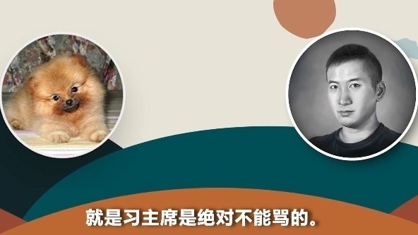 海外中國網紅「說真話的徐某人」近日公開錄音,揭露中共外宣招募手段。(圖片來源:視頻截圖)