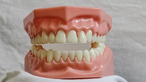 牙龈萎缩（Pixabay）