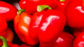 60歲後必吃8種蔬菜改善酸痛無力與僵硬(圖)