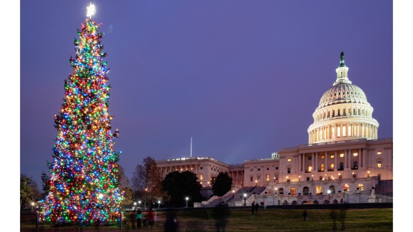 华盛顿特区国会大厦的圣诞季夜景