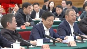 蔡慎坤：習近平對民企的「鬆綁」是權宜之計(圖)