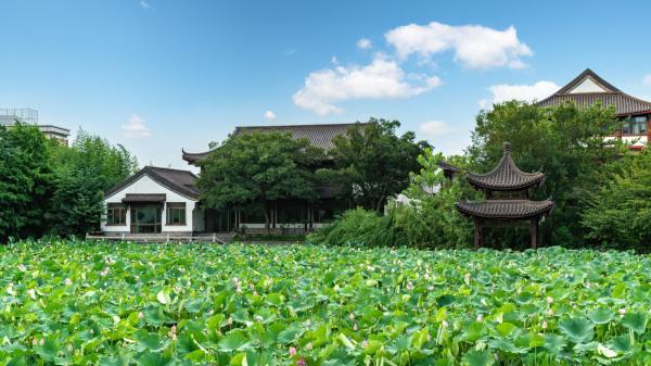 《轮回集》一书中有一篇记载了另外空间的生命，行疫使者与土地神转生为人的事迹