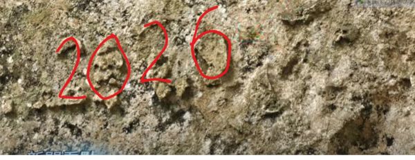 2026版