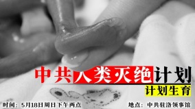 被追捕的生命:一個「超生女兒」的來時路(圖)