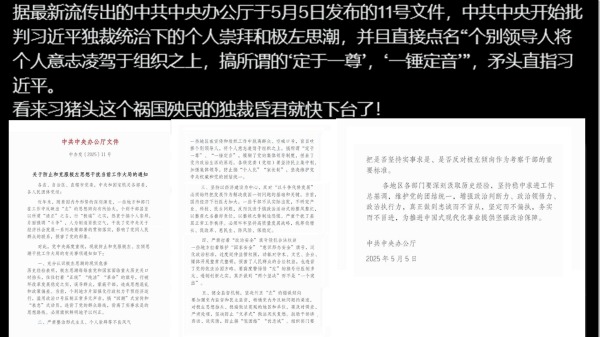 中辦文件造假