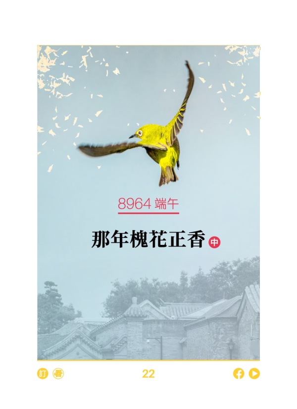 8964 端午 那年槐花正香(中) 