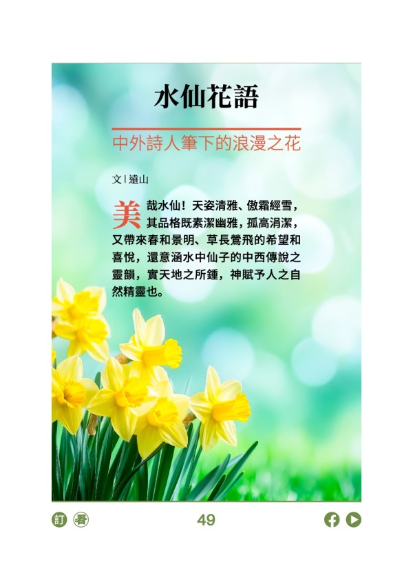 水仙花語 中外詩人筆下的浪漫之花