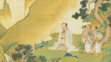 茶