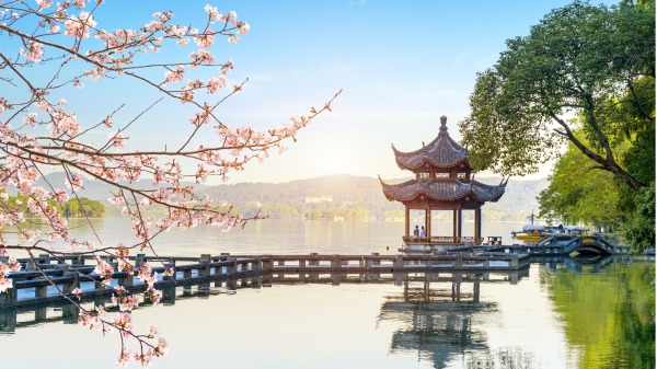 我們不能違背自然規律，強行讓花朵在冬天盛開