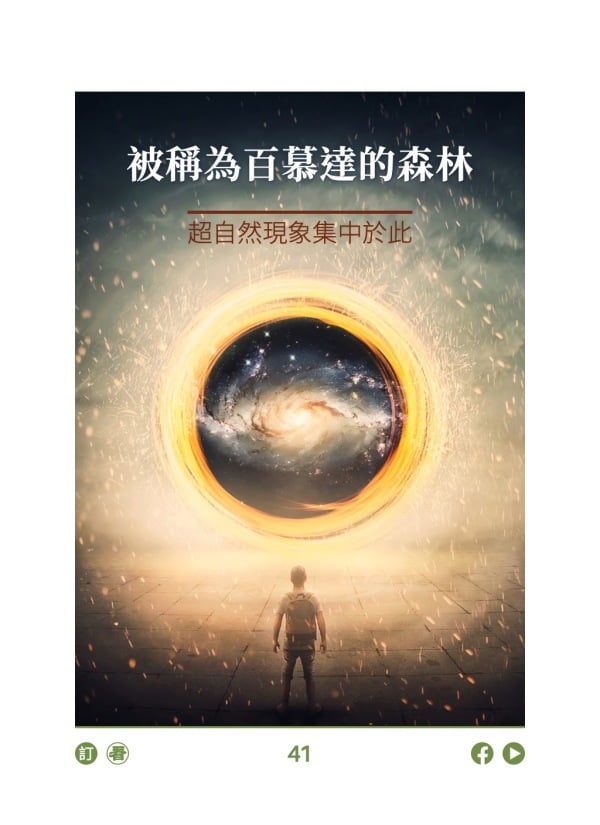 被稱為百慕達的森林 超自然現象集中於此