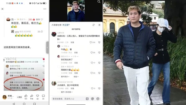 杨兰兰财产