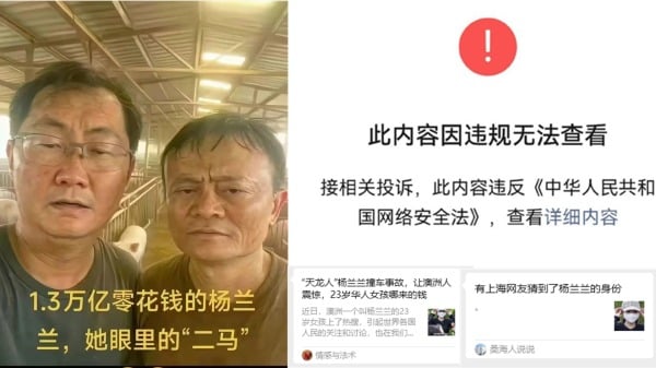 杨兰兰与马云