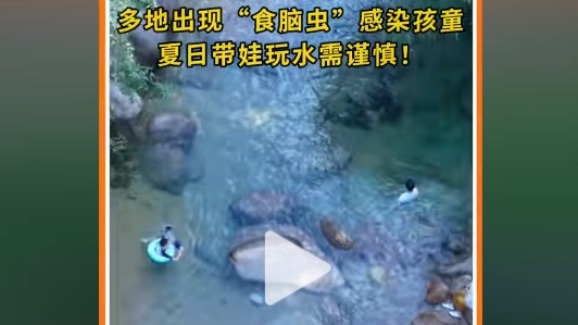 食脑虫