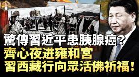 習近平為何頻訪寺廟驚傳習已患癌症齊心為子入雍和宮上香祈福還是表演習頻進寺廟與西藏之行藏密碼(視頻)