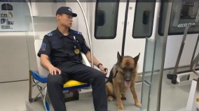 「看那一人一門一犬」九三閱兵前北京地鐵驚現真正「威脅」(圖)