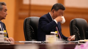 爆习承认“重大失误”仍欲垂帘听政海南夜空诡变绿色(图)