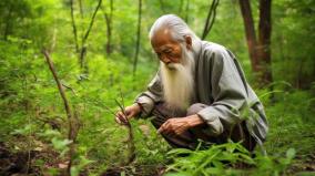 不顯山露水的老人竟是武功高手(圖)