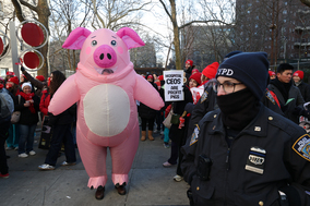 流感高峰疊加罷工紐約醫療告急(圖)