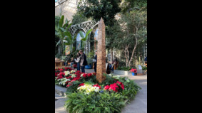 图片新闻：美国国家植物园节日展览吸睛(组图)