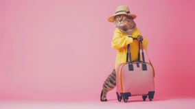 笑話:坐頭等艙富人的秘密(圖)