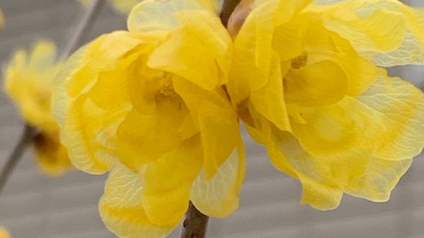 【心灵低语】别去踩别人丢来的泥巴会脏自己的脚(图)