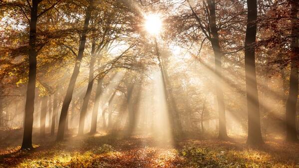 自己的孩子曾经提及的前世记忆。