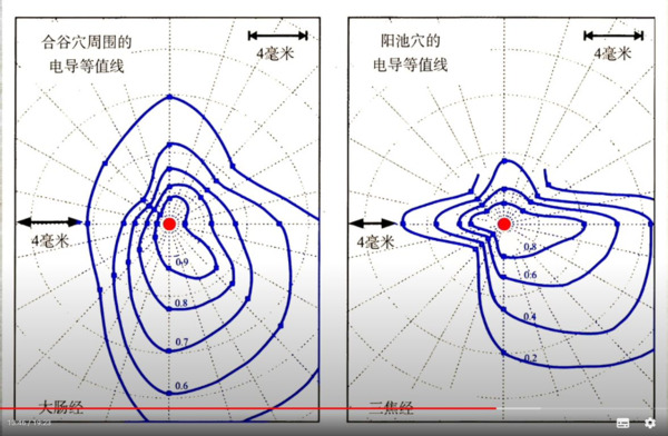 上世紀五十年代,美國紐約大學的教授貝克醫生(R.O.Becker)就做了相應的經穴電導實驗,來測量經絡、穴位的大小和形態。