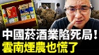 中國菸酒店集體陷入死局老闆倒貼度日(視頻)