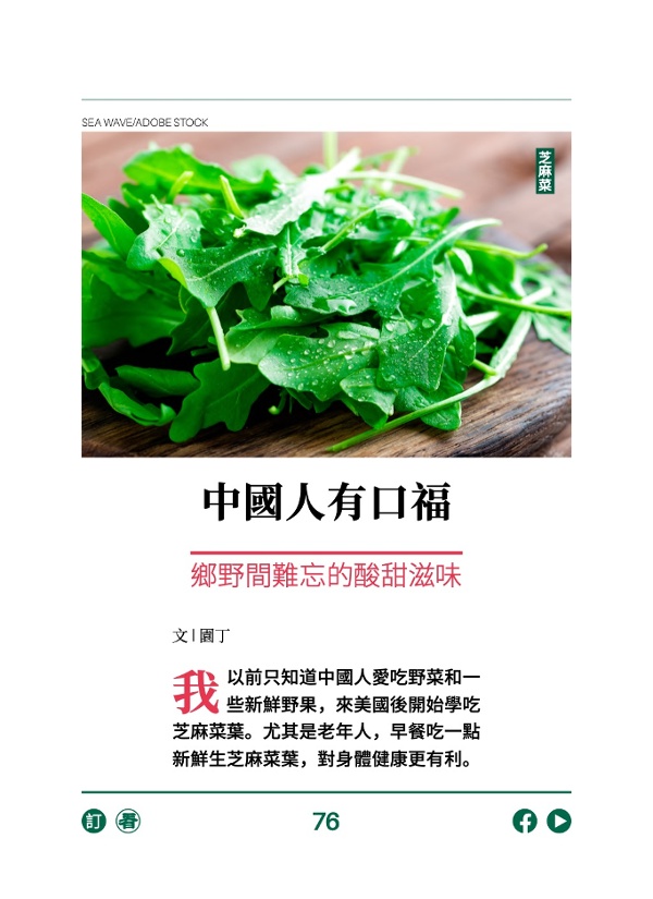 中國人有口福 鄉野間難忘的酸甜滋味