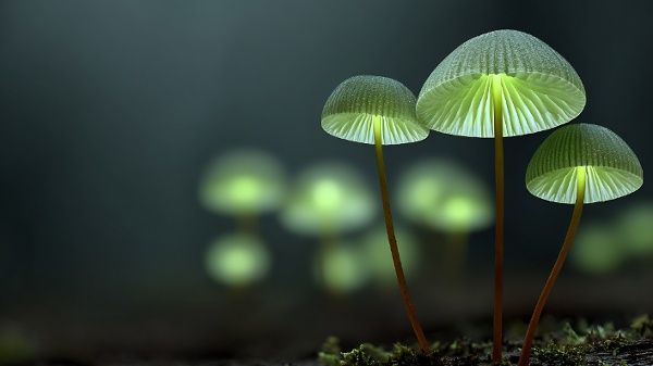 AdobeStock_1543943265 EpochXstudio
