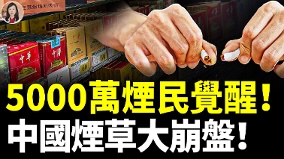 2026煙草價格集體大崩盤:為什麼大家突然都不抽了(視頻)
