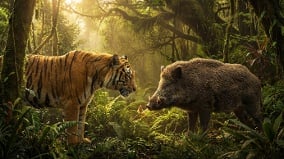 天敵也能成朋友動物界出現奇特景象(圖)
