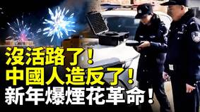 新年爆烟花革命中国人造反了(视频)