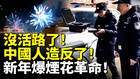 新年爆煙花革命中國人造反了(視頻)