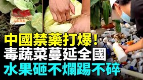 中國猛喂百萬噸農藥水果蔬菜全崩盤(視頻)